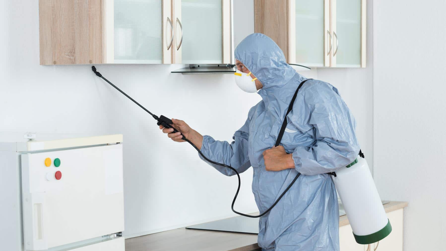 Nontoxic-Residential-Fumigation-Services-in-Sydney.jpg